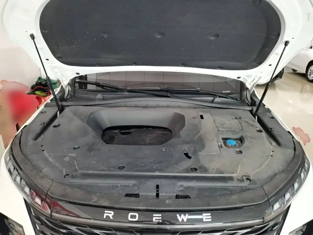 Roewe RX5 MAX 2023 2022 1.5T Auto Promising Luxury Edition