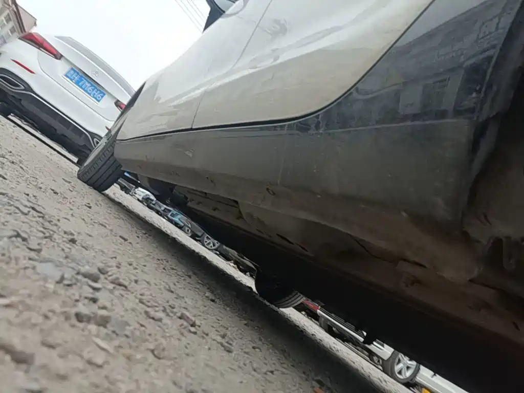 Ora Black Cat 2022 2022 Facelift 301km Pet Edition LFP Version