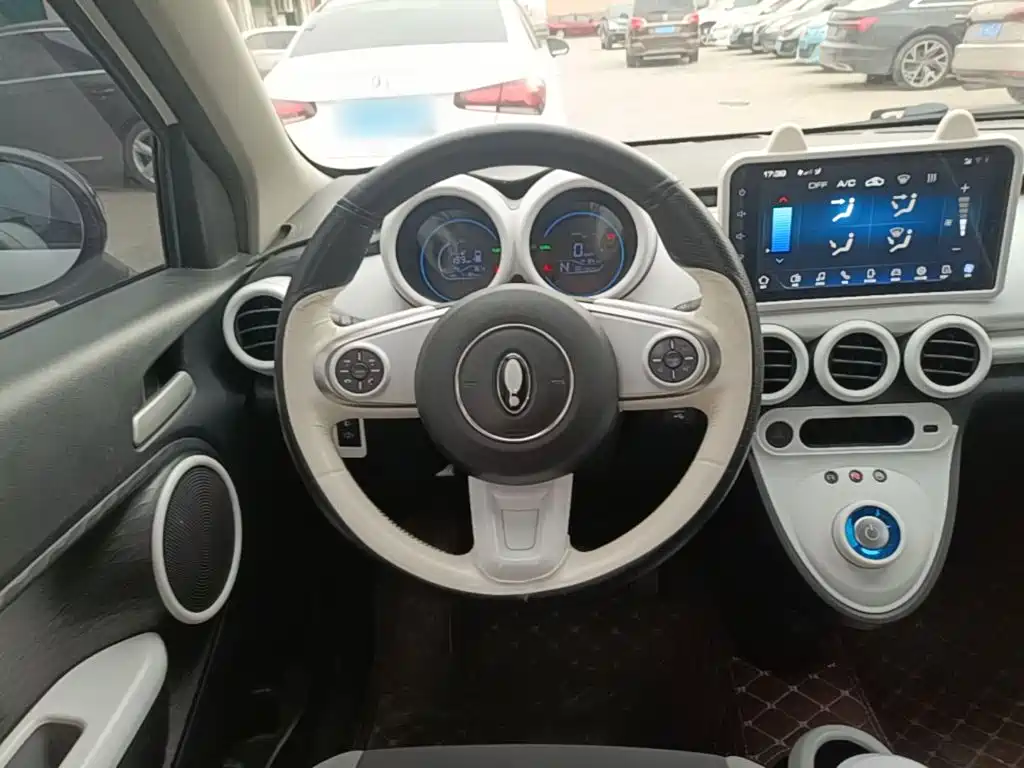 Ora Black Cat 2022 2022 Facelift 301km Pet Edition LFP Version