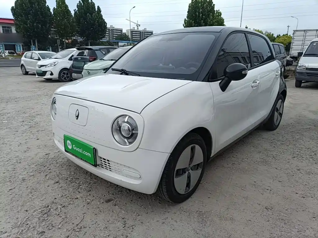 Ora Black Cat 2022 2022 Facelift 301km Pet Edition LFP Version