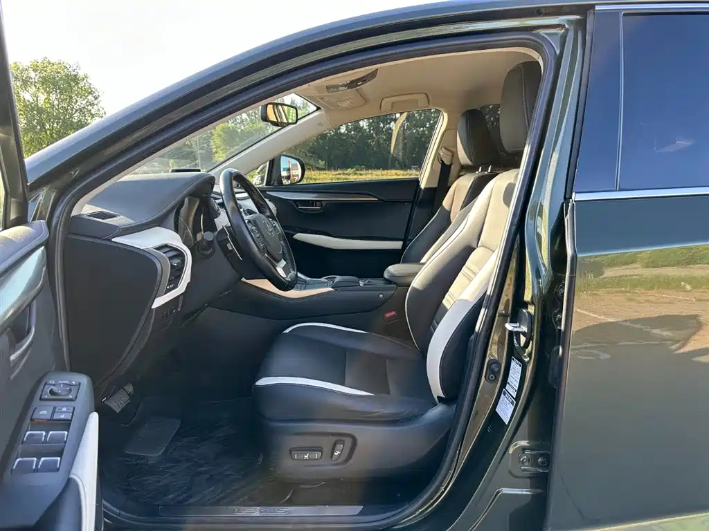 Lexus NX 2020 200 FWD Fengyi Edition China VI фото 9