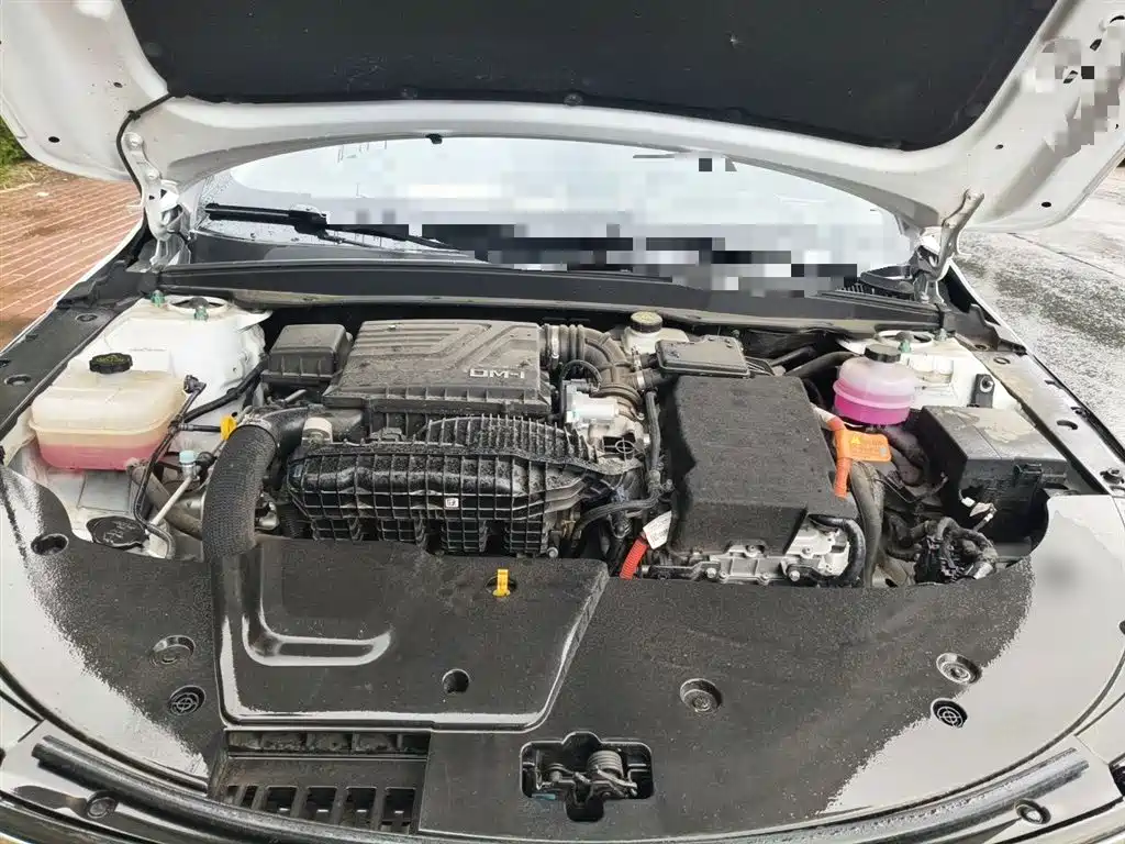 BYD Destroyer 05 2024 Glory Edition DM-i 55KM Luxury фото 17