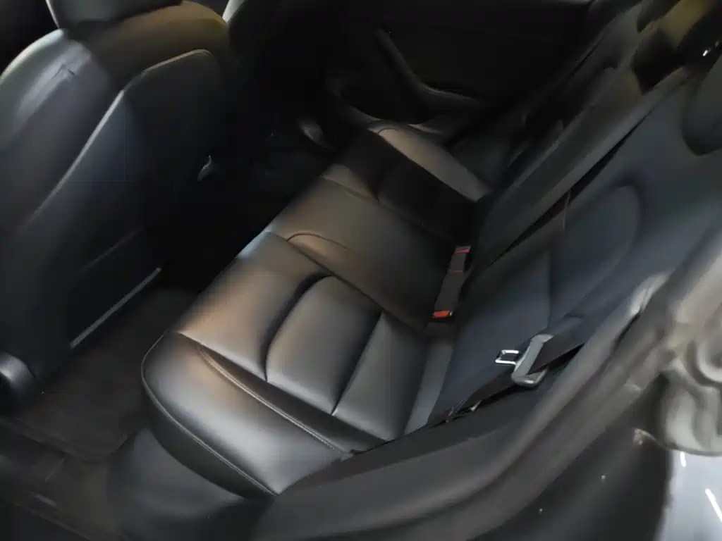 Tesla Model 3 2020 2020 Standard Range Rear-Wheel Drive Upgrade