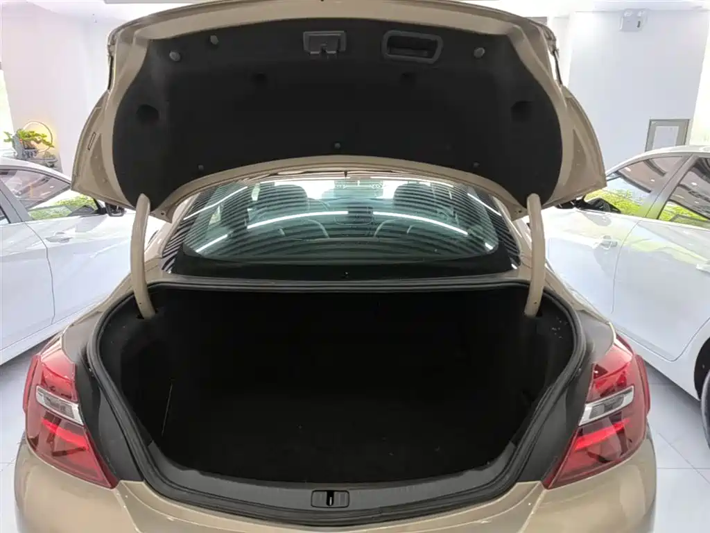 Buick Regal 2015 1.6T Elite Tech Edition фото 19