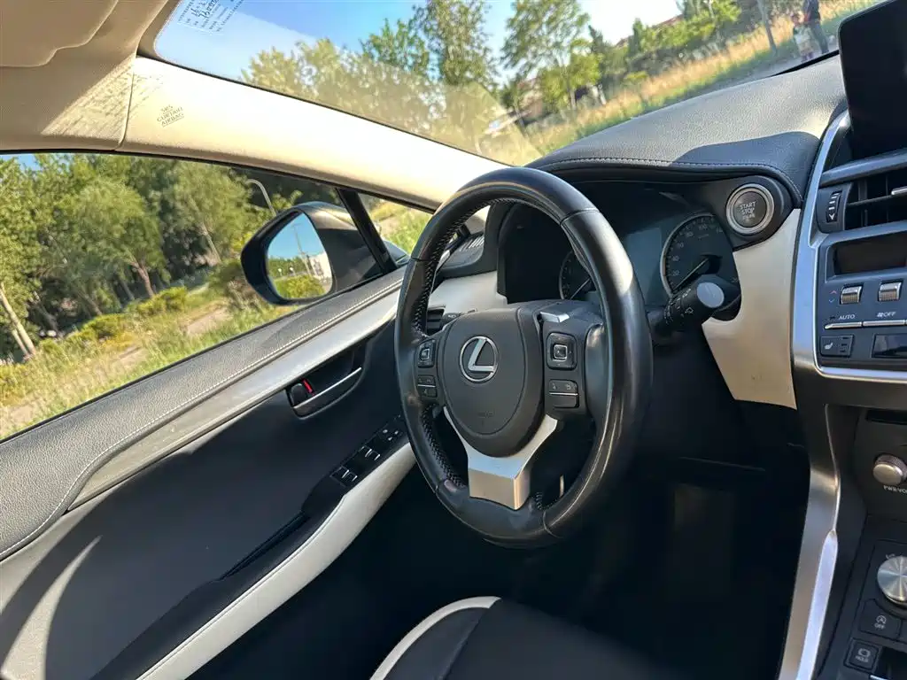 Lexus NX 2020 200 FWD Fengyi Edition China VI фото 20