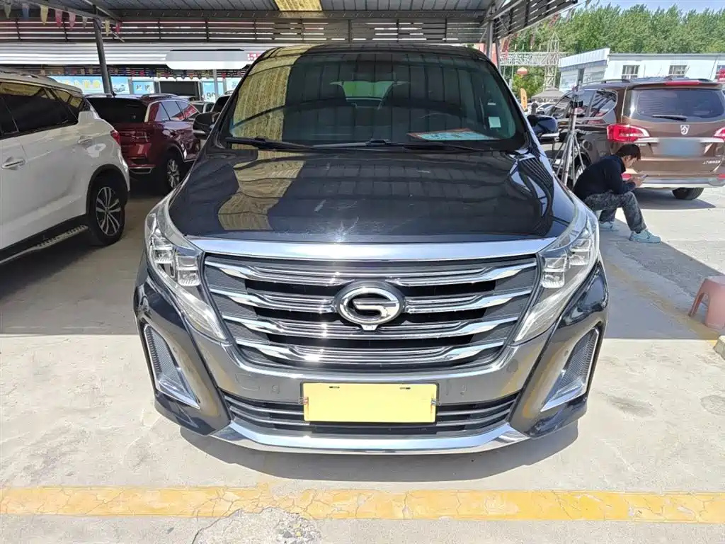 GAC Trumpchi Trumpchi M8 2020 Pilot 390T Prestige Edition фото 4
