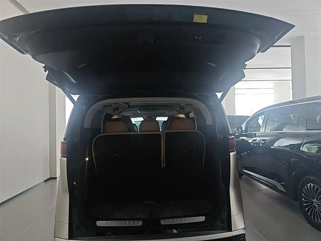 Denza D9 2024 DM-i 980 AWD Prestige фото 19
