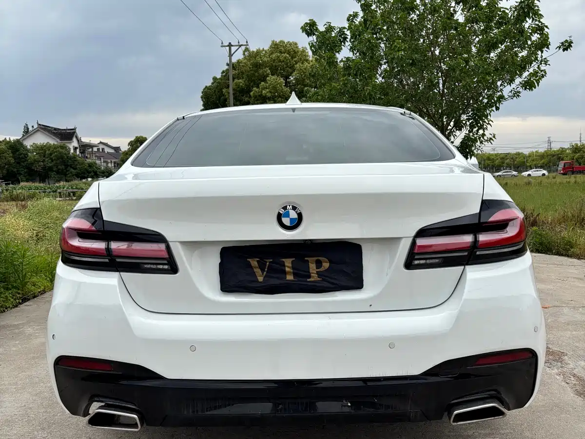 BMW 5 Series 2011 520Li Elegance фото 4