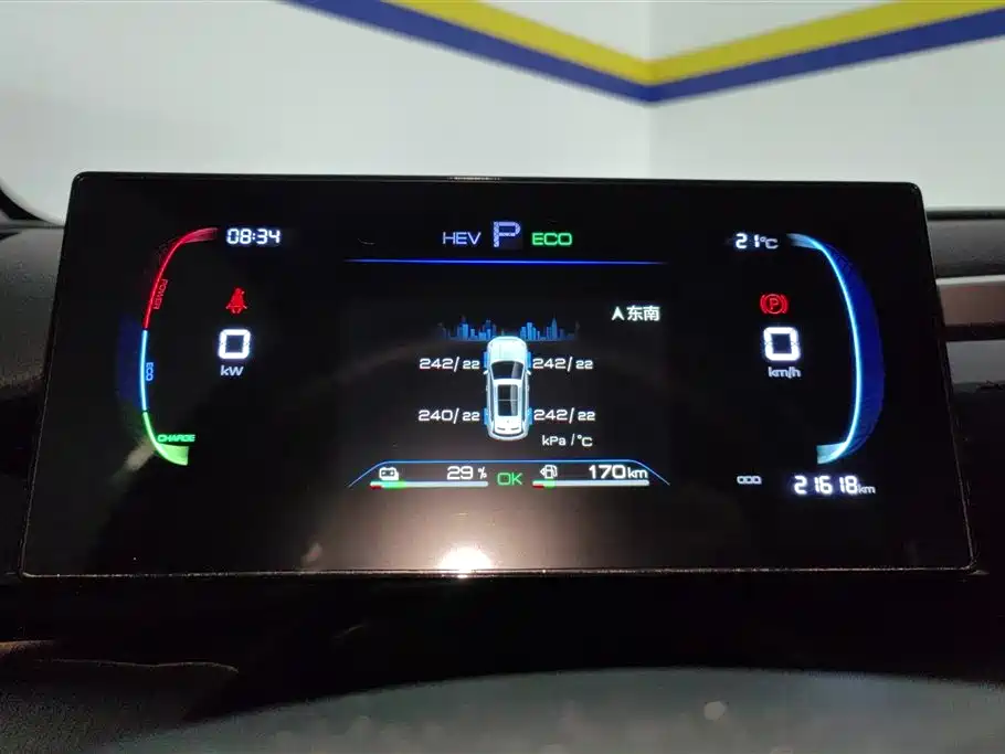 BYD Song Pro New Energy 2024 Glory Edition DM-i 71KM Pilot фото 14