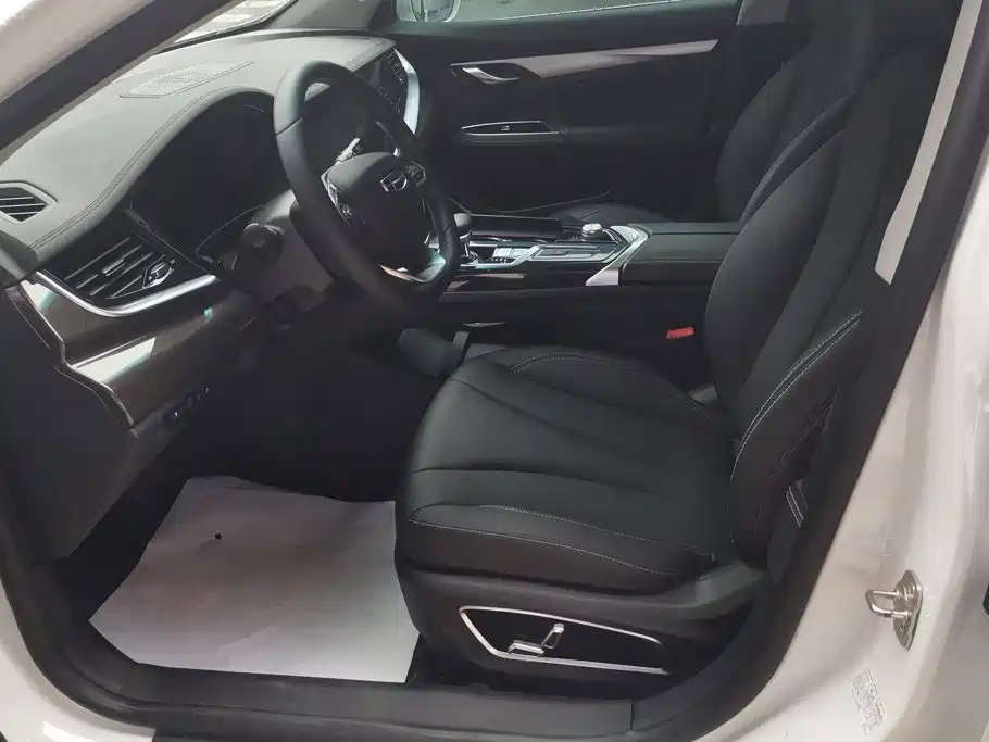 Geely Borui 2021 2021 1.8T Pilot Edition