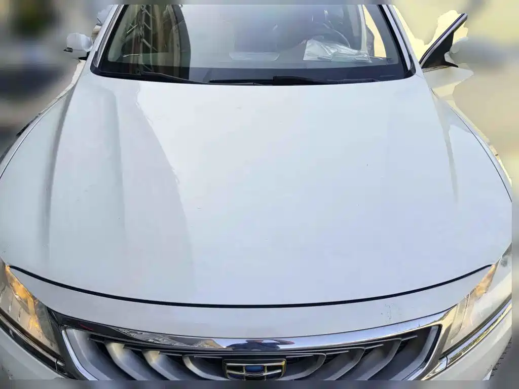 Фото 3 - Geely Borui