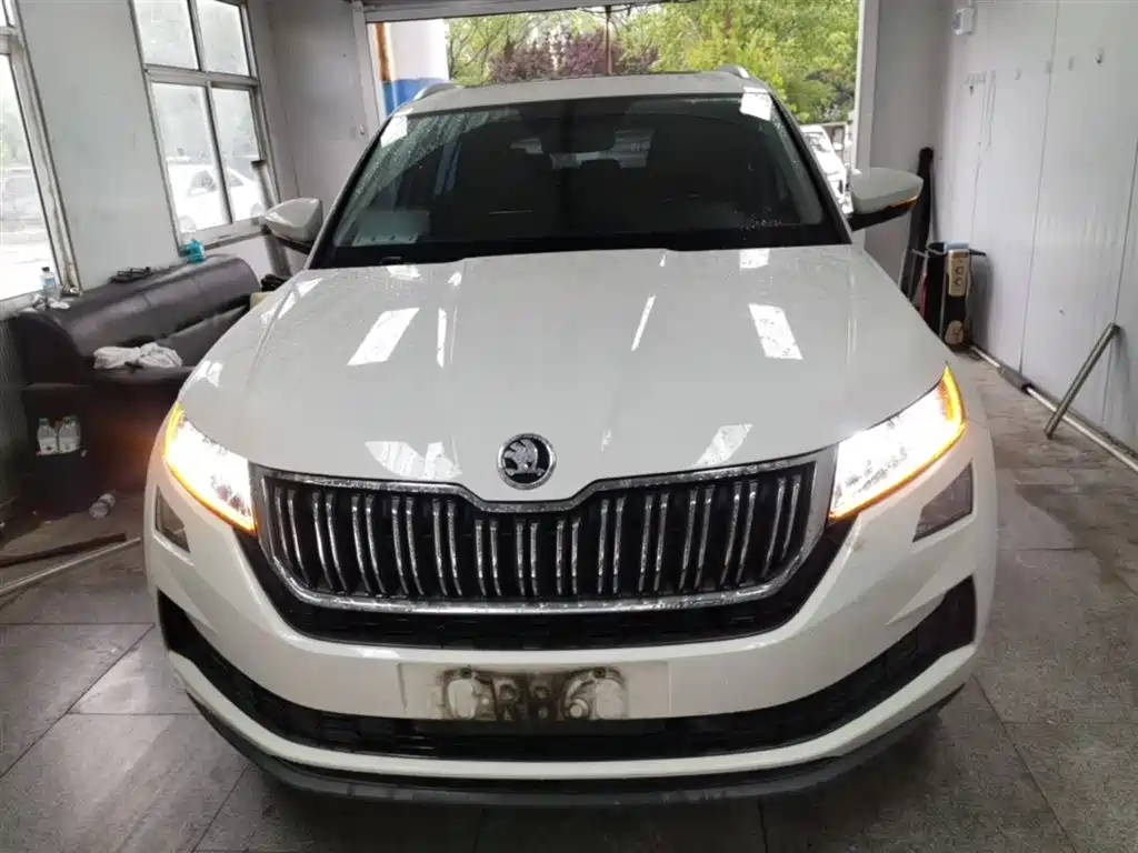 Škoda Kodiaq GT 2019 TSI330 2WD Luxury Edition China VI фото 3