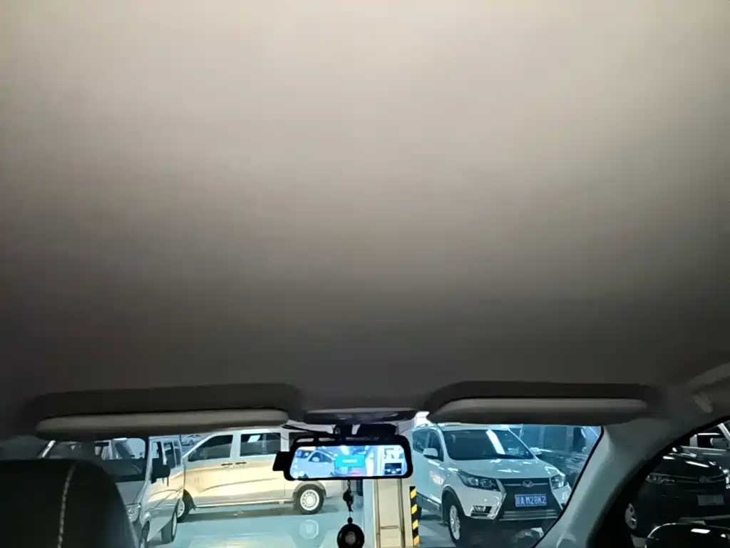 Bisu Auto Bisu M3 2019 2017 1.5L Elite Edition