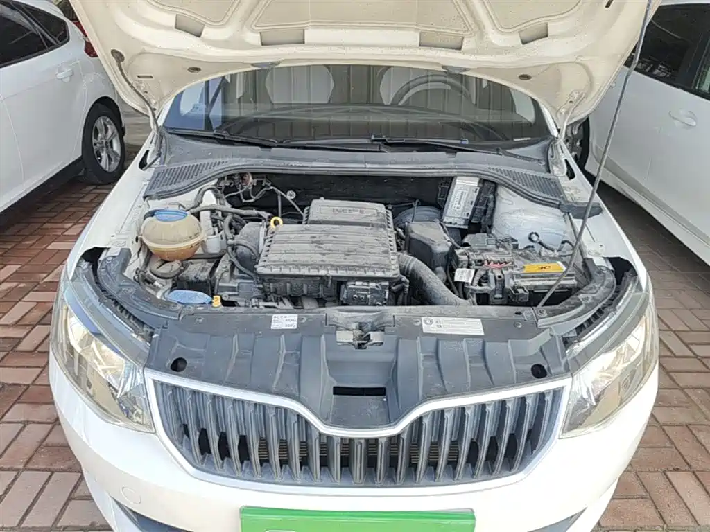 Škoda Fabia 2017 1.4L Auto Car Enjoy Edition фото 20