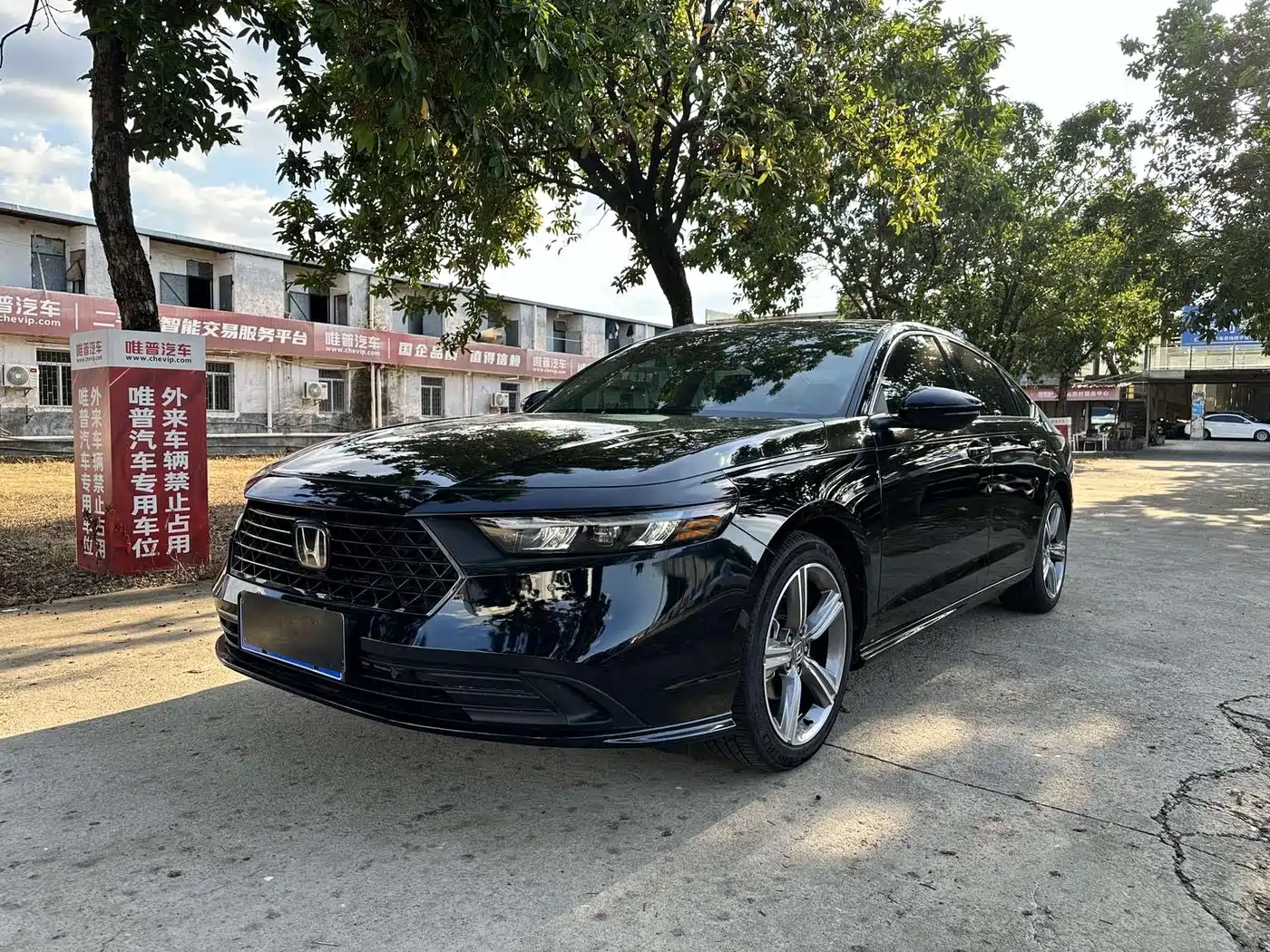 Honda Accord 2025 2024 260TURBO Premium Edition