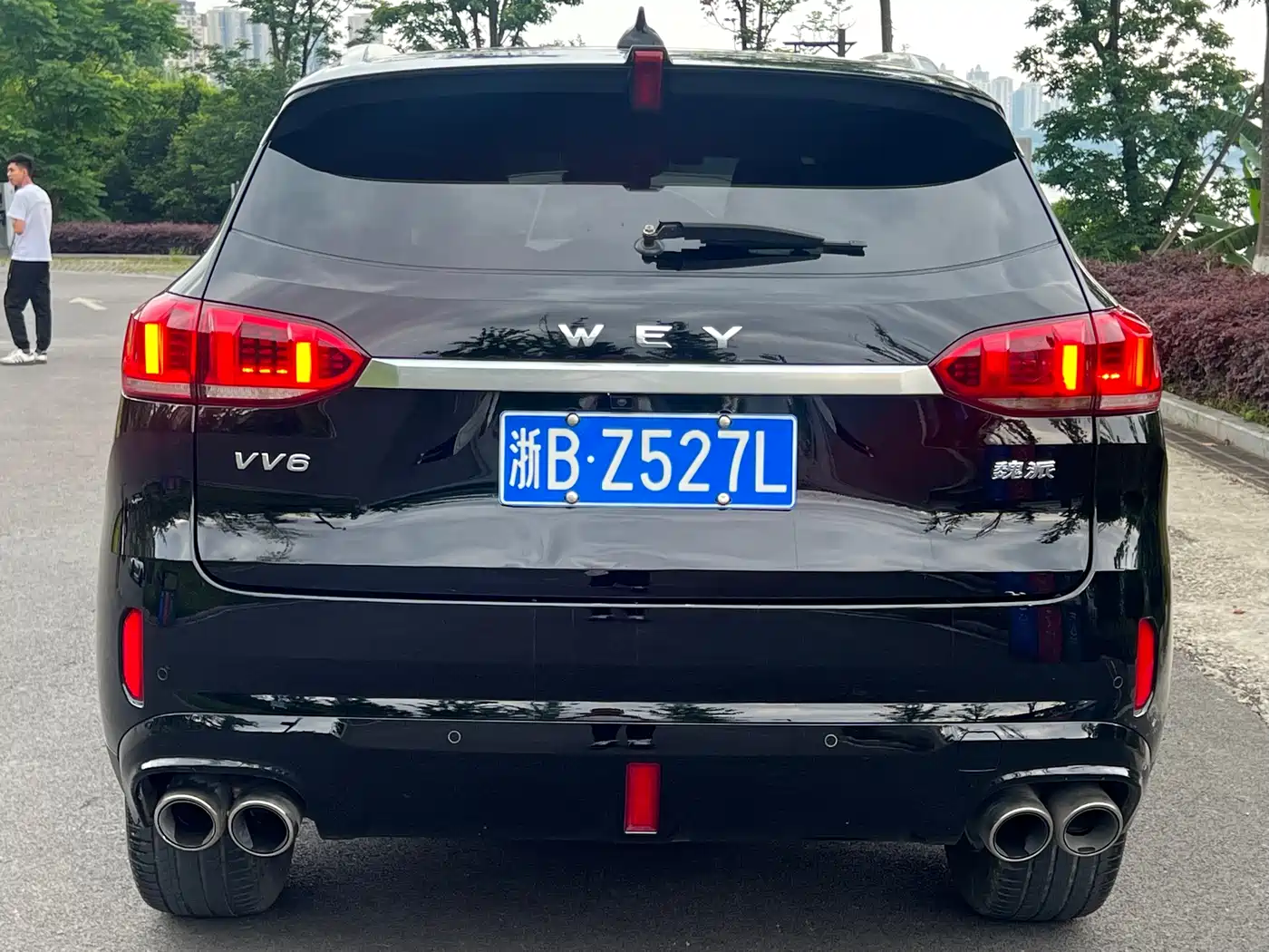 2021 WEY VV6