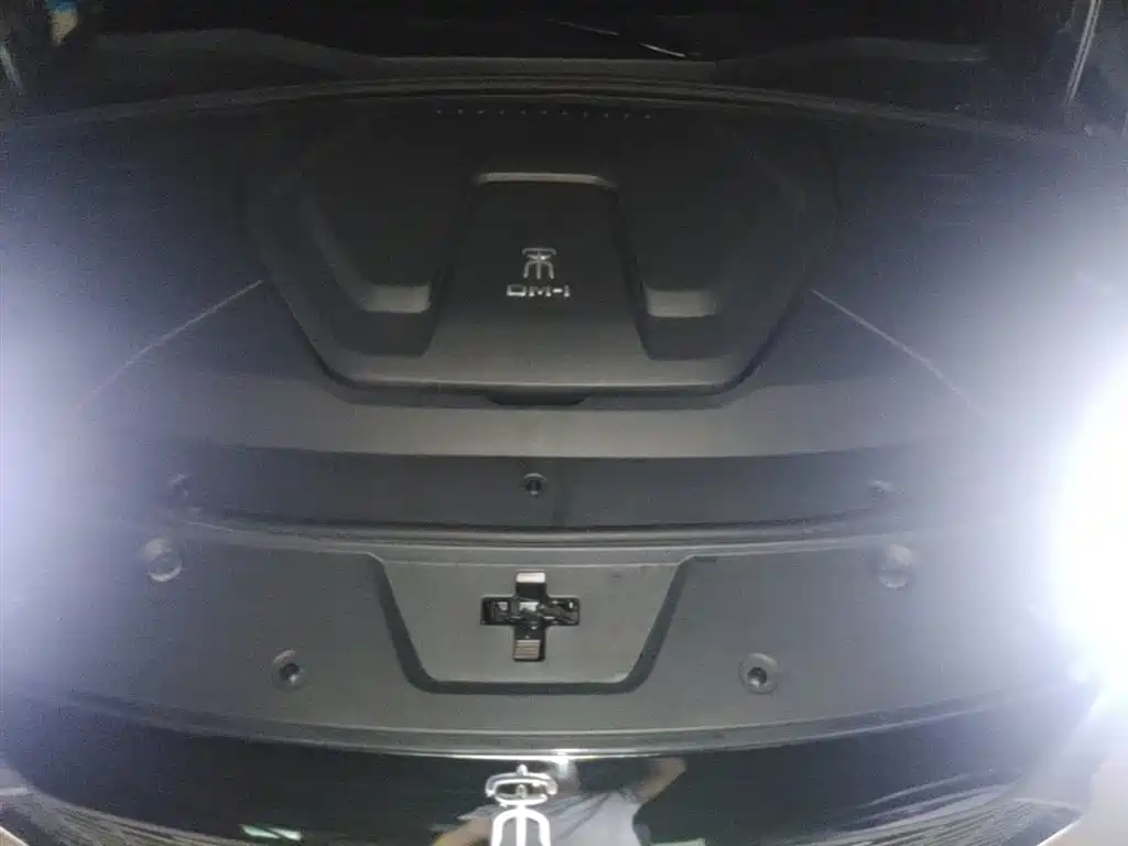BYD Song PLUS PHEV 2021 DM-i 110KM Flagship фото 20