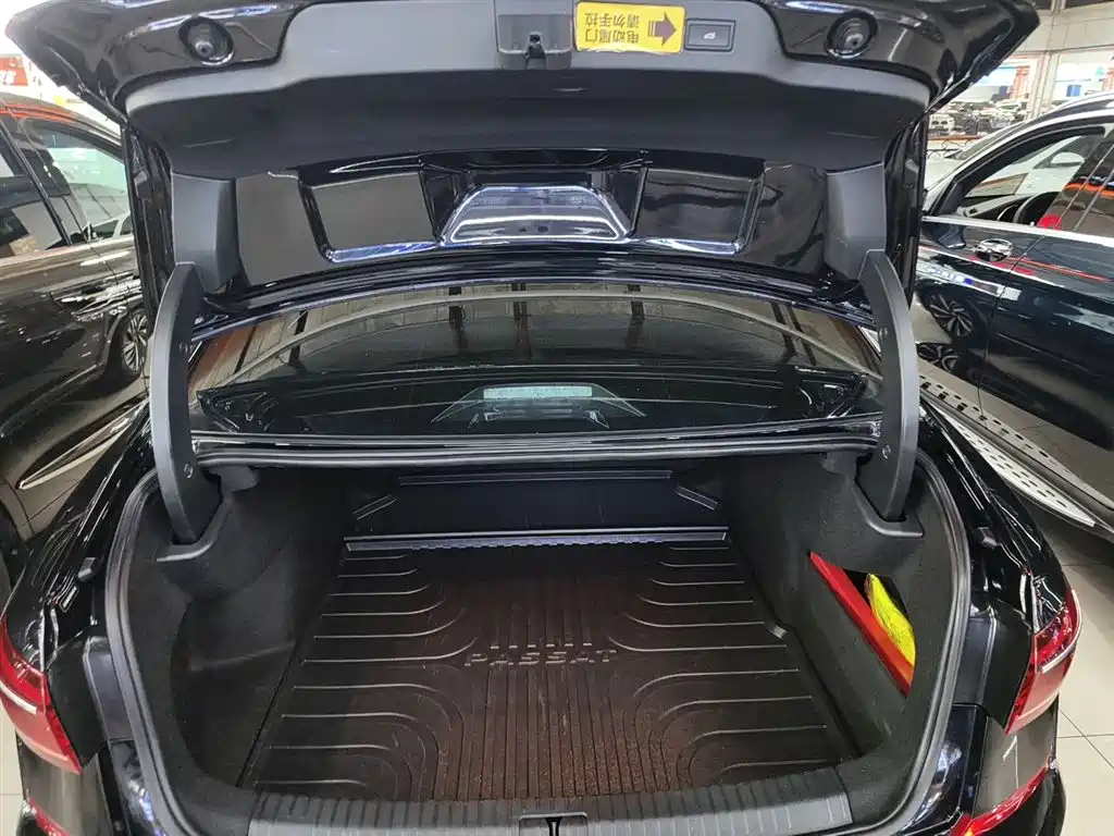 Volkswagen Passat 2024 380TSI Luxury фото 15
