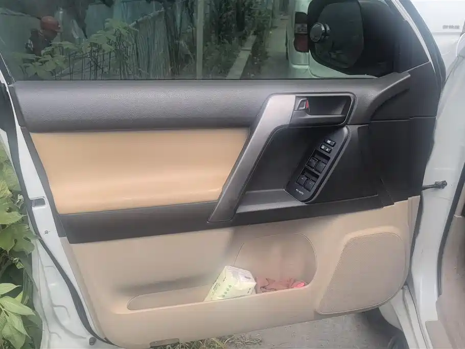 Toyota Prado (Import) 2010 2.7L Auto Luxury фото 7