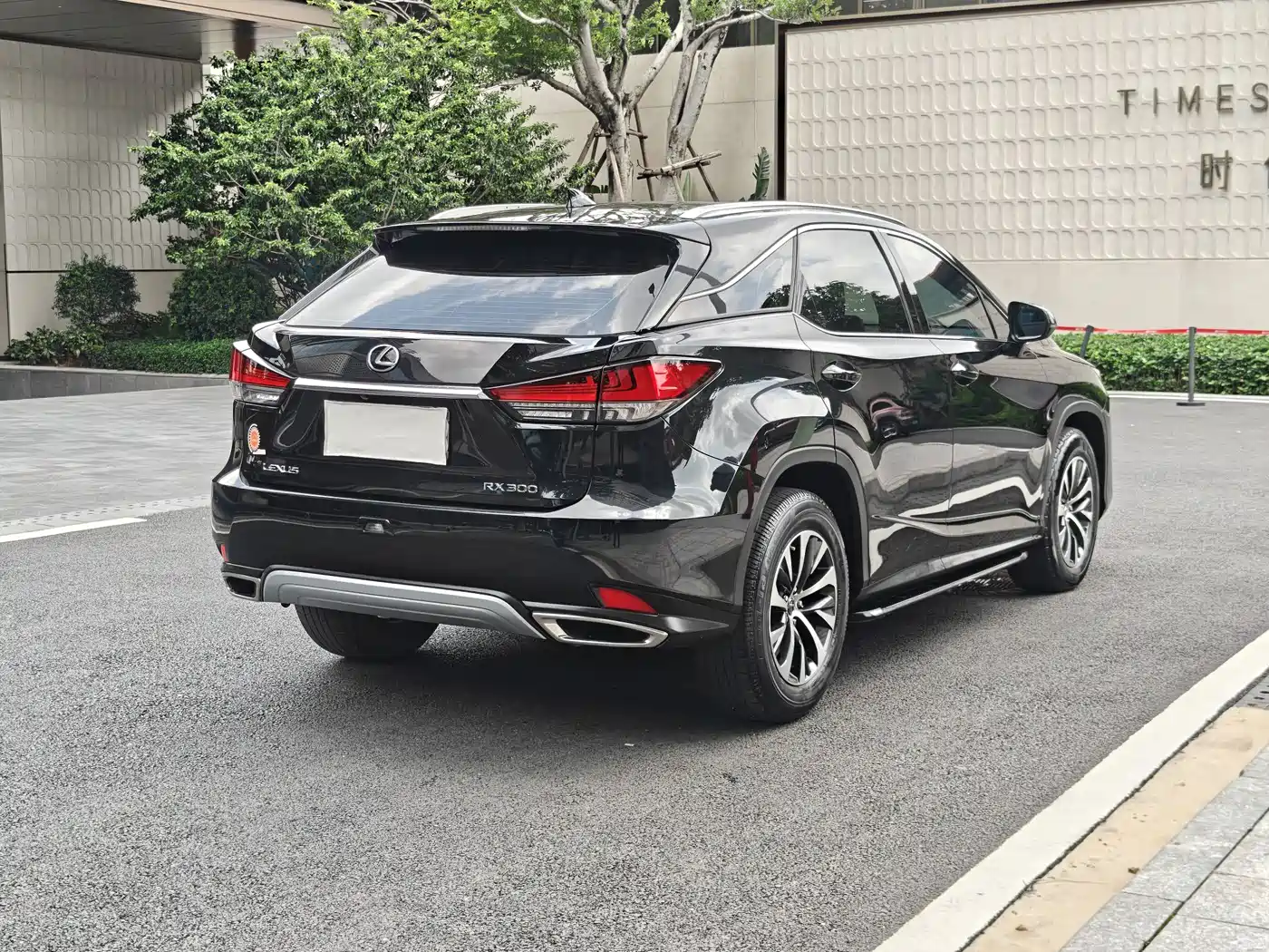 Lexus RX 2020 Facelift 300 2WD Comfort Edition фото 3