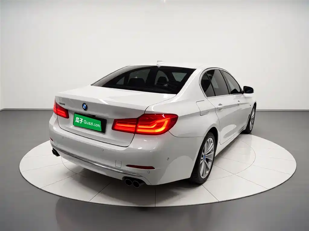 BMW 5 Series 2020 530Li Premium Luxury Package фото 7