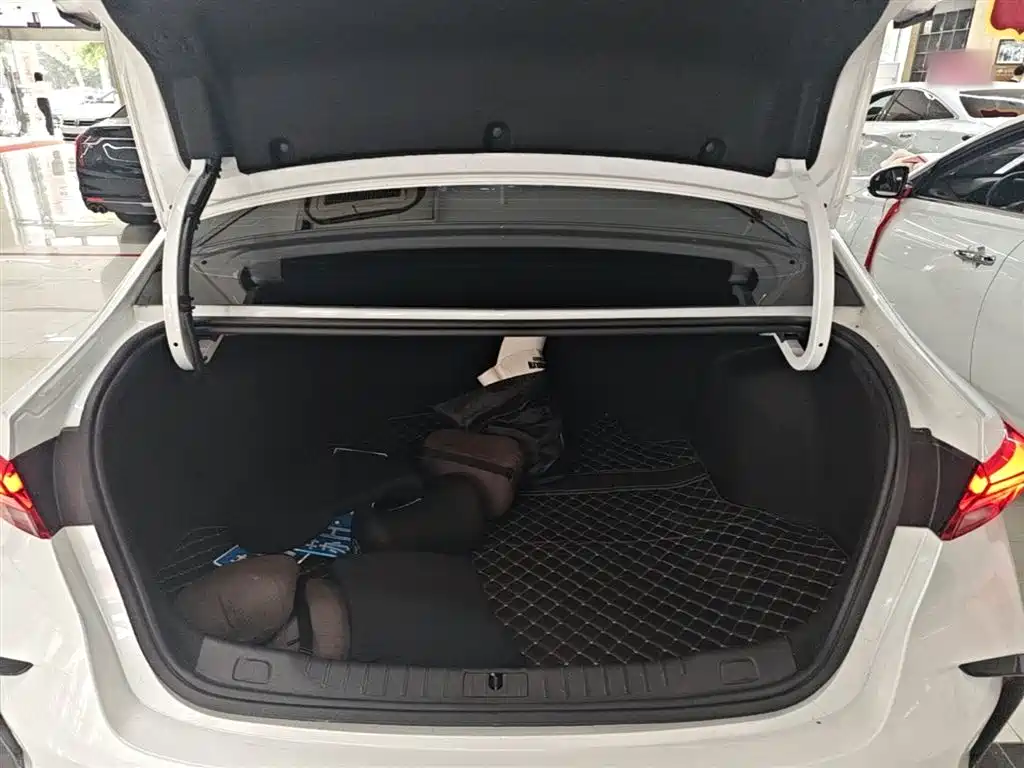 BUICK WEILANG