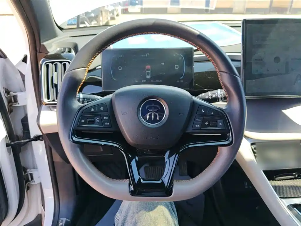 BYD Song Pro New Energy 2024 Glory Edition DM-i 71KM Pilot фото 11