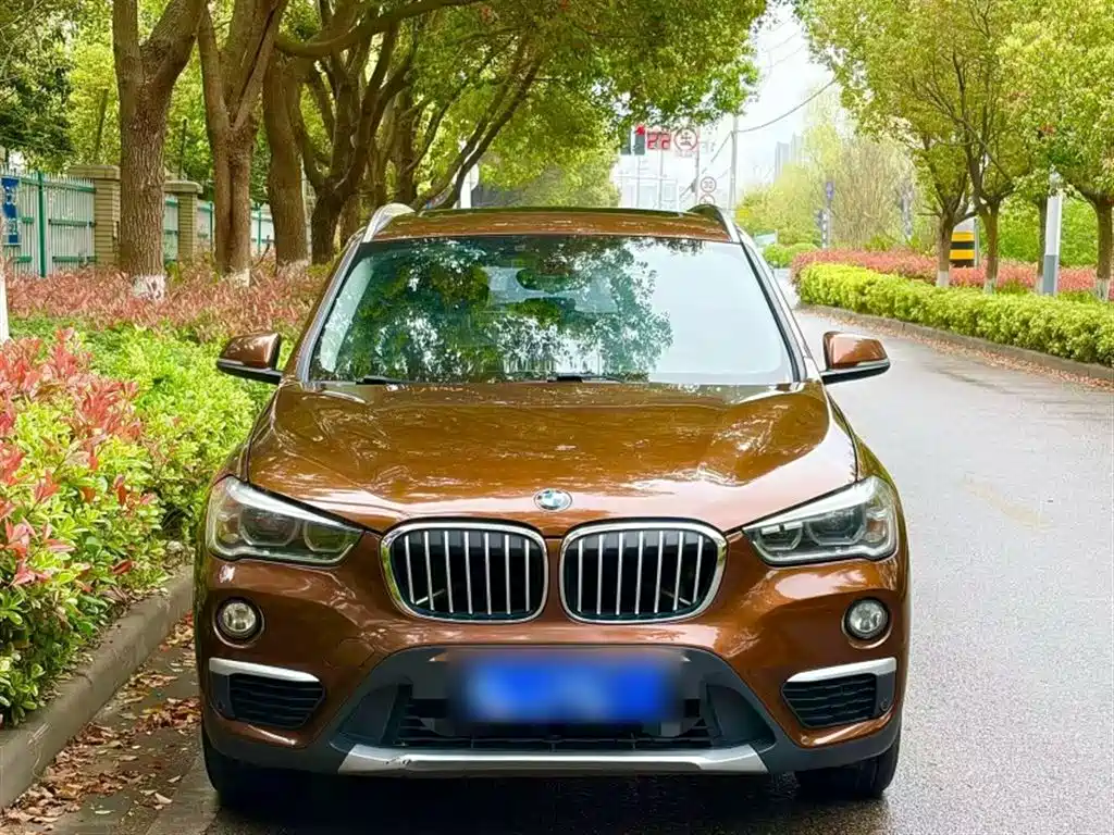 BMW X1 2016 sDrive20Li Luxury Model фото 16