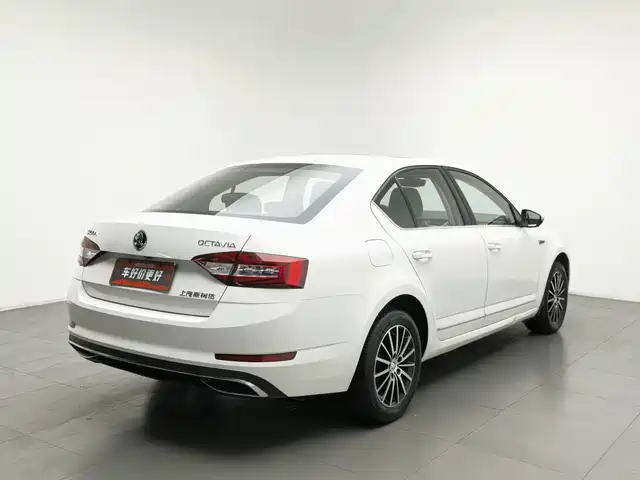 Škoda Octavia 2019 1.5L Automatic Luxury Edition — фото 2