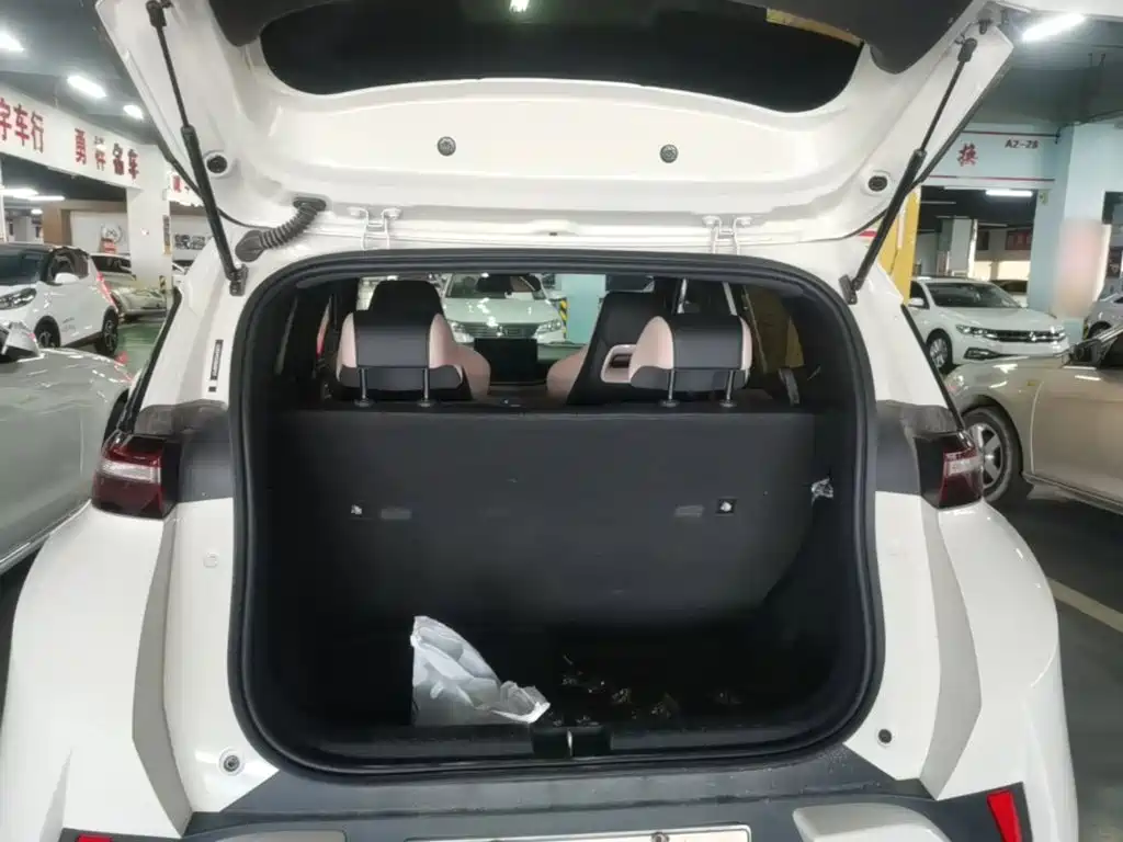 BYD Seagull 2026 2025 Smart Drive Edition 305km Vitality Version