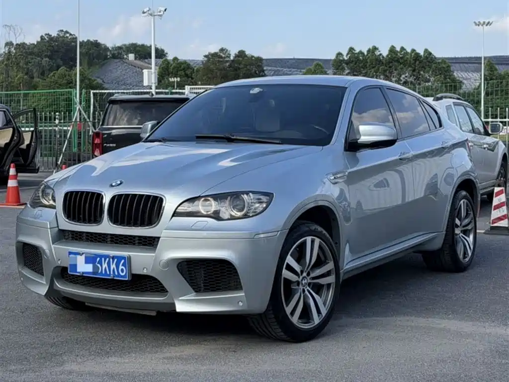 BMW X6 M 2010 X6 M