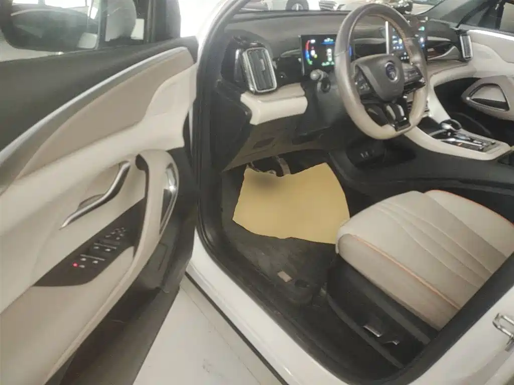 BYD Song Pro New Energy 2024 Glory Edition DM-i 71KM Pilot фото 16