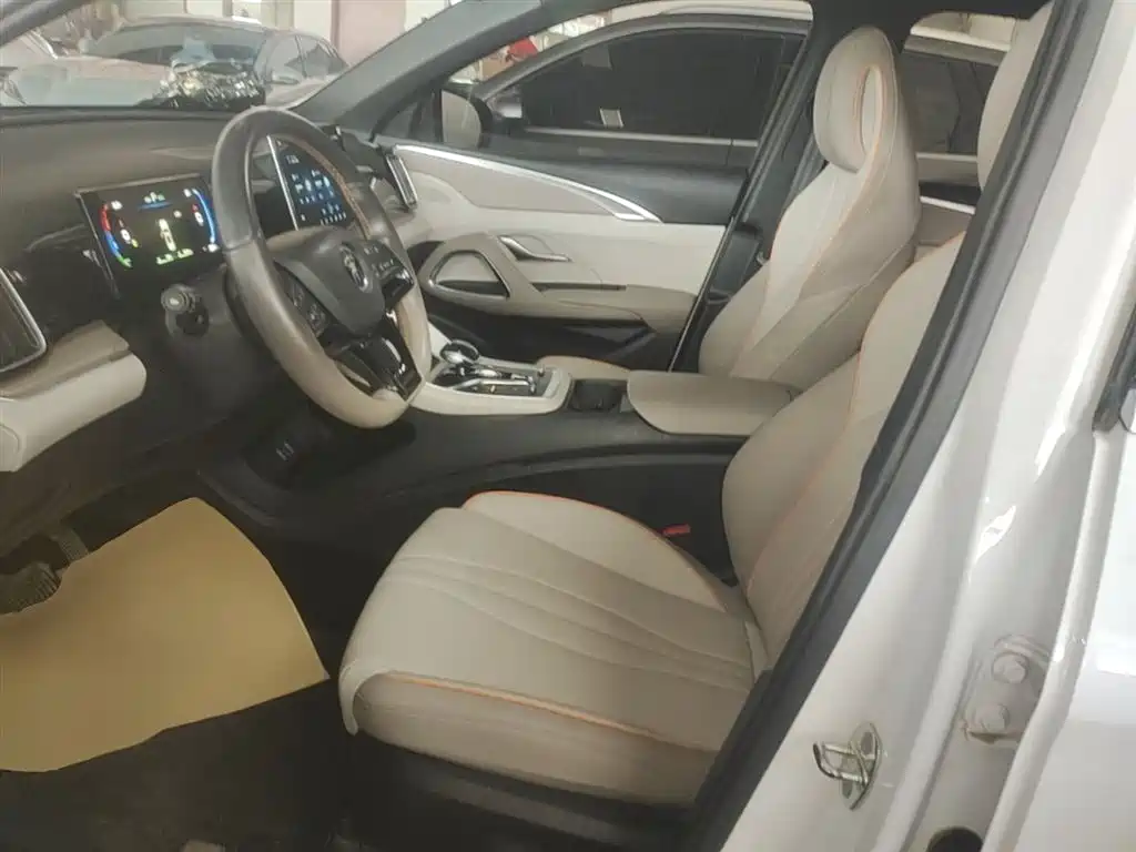 BYD Song Pro New Energy 2024 Glory Edition DM-i 71KM Pilot фото 15