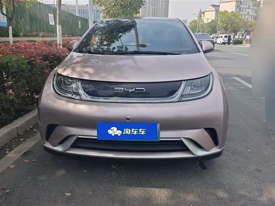 BYD DOLPHIN