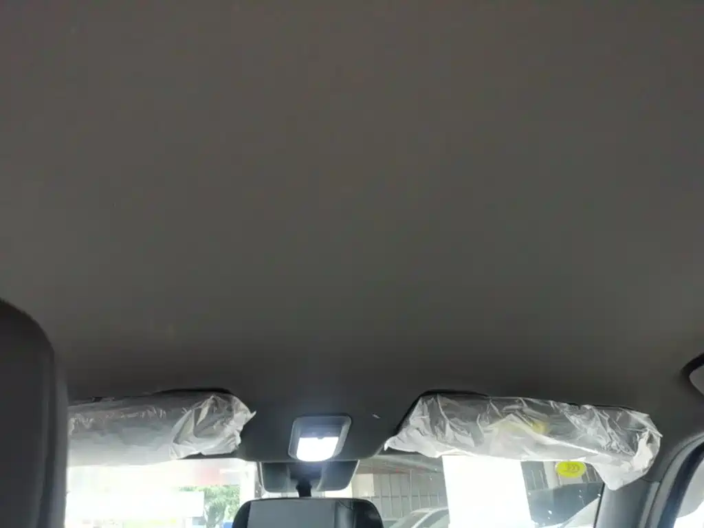 Baojun Yueye Plus 2026 2026 301km Flagship