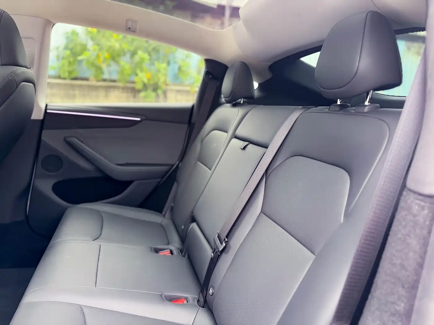 Tesla Model Y 2025 Rear-Wheel Drive фото 12