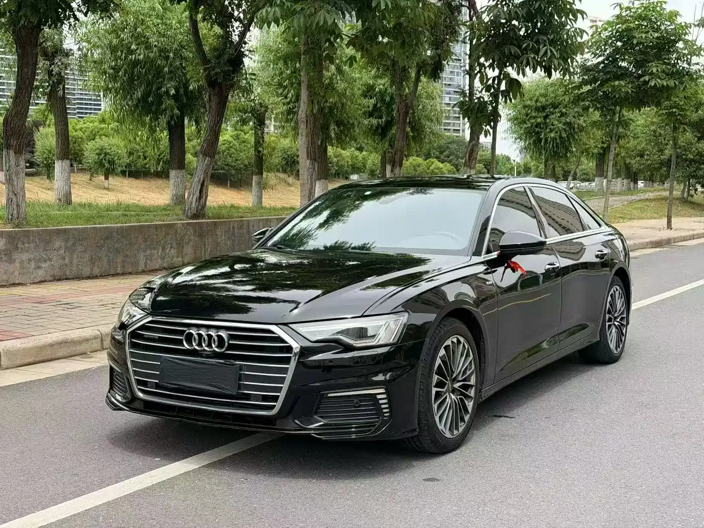 Audi A6L New Energy 2020 55 TFSI e quattro