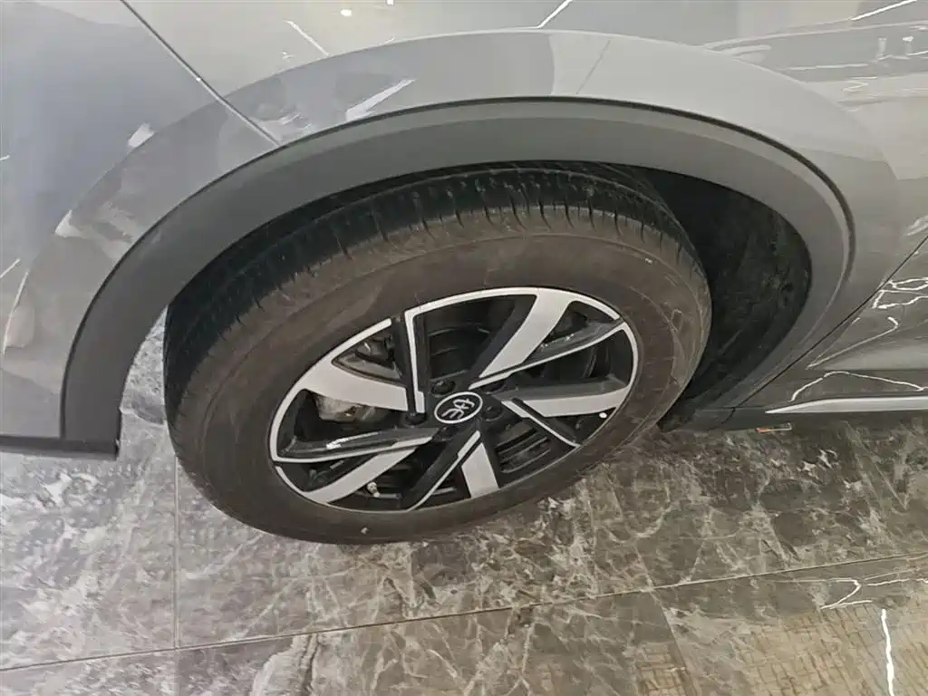 BYD Song Pro New Energy 2024 Glory Edition DM-i 71KM Pilot фото 23