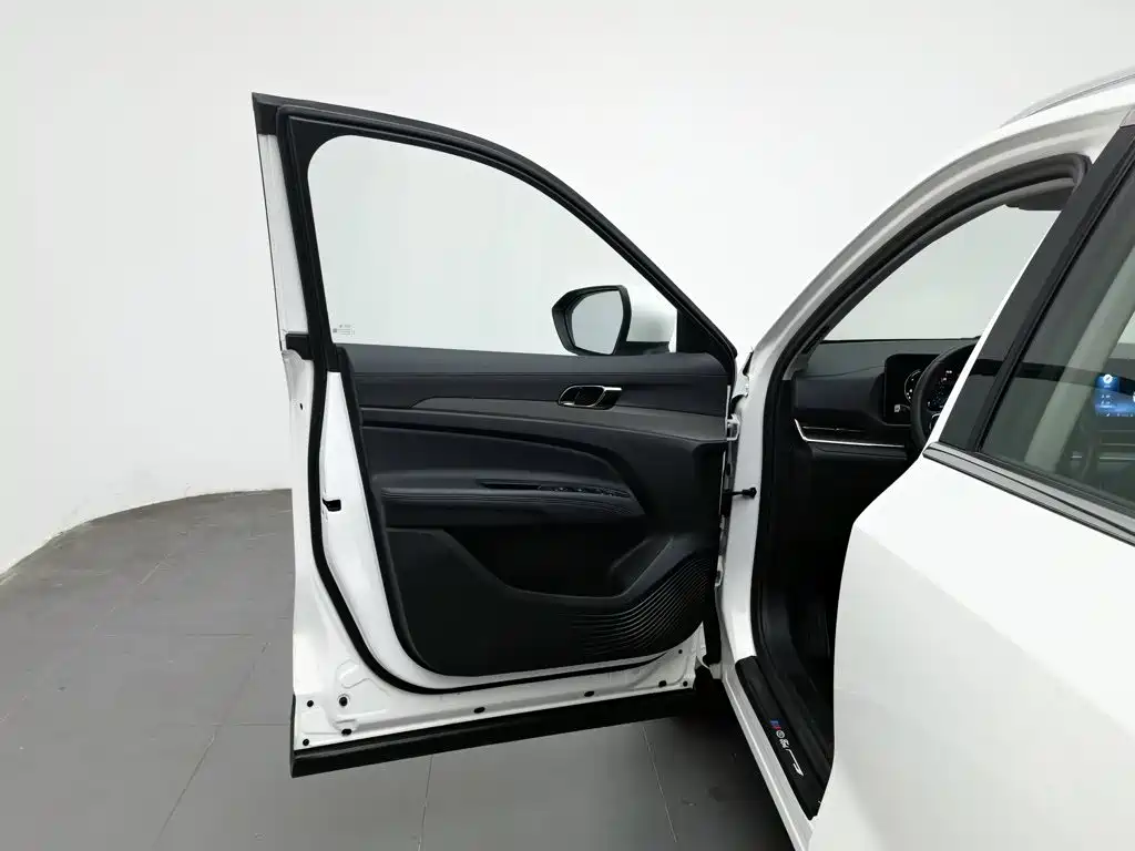 Ford Lingrui 2022 2022 EcoBoost 170 Platinum