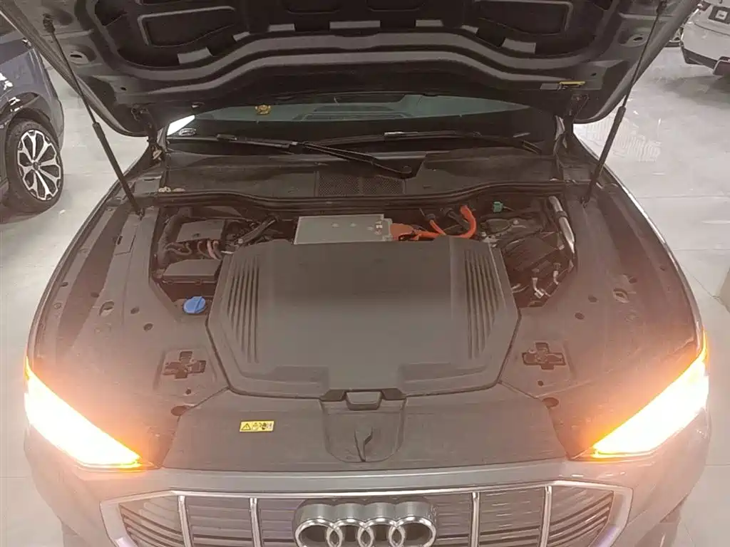 Audi e-tron (Import) 2019 55 quattro Technology фото 20