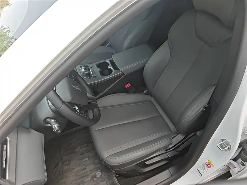 BYD Qin PLUS 2025 DM-i Smart Drive 55KM Leader фото 15