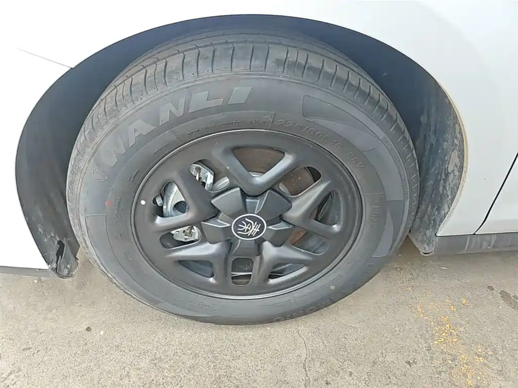 BYD Qin PLUS 2025 DM-i Smart Drive 55KM Leader фото 23