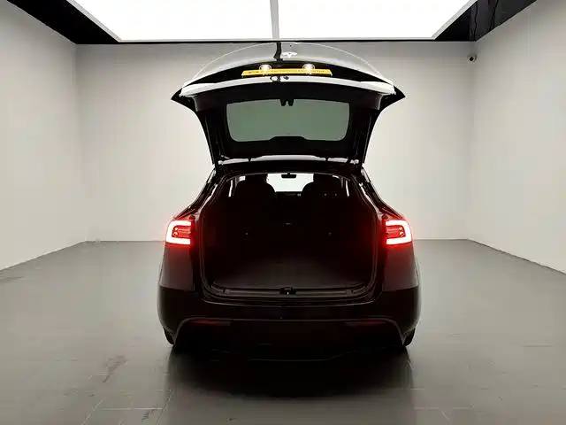 Tesla Model Y 2021 2021 Long Range All-Wheel Drive 3D7