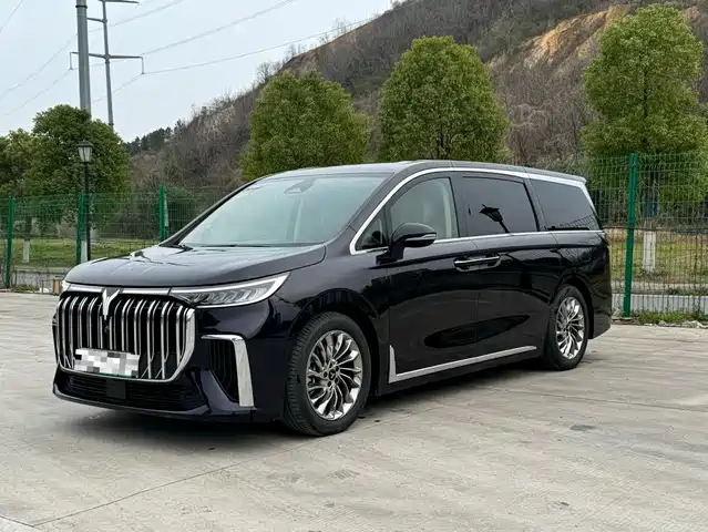  Voyah Auto Voyah Dreamer 2024 PHEV Extended Range Flagship Edition