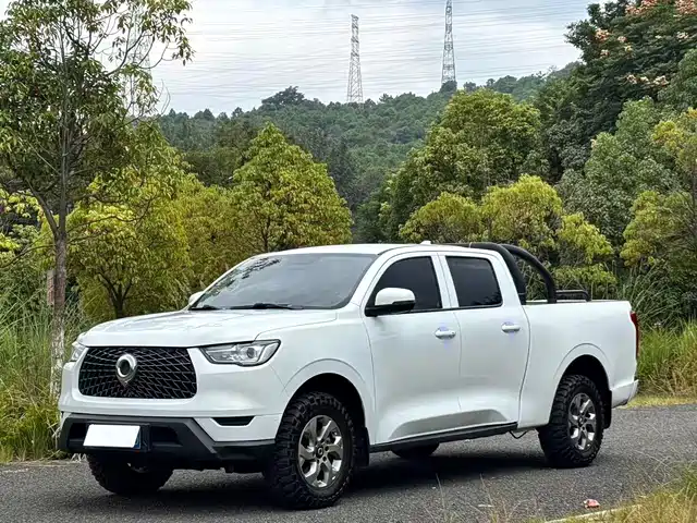 Great Wall Poer 2.0T, коммерческий, механическая коробка, дизель, Полный привод, Элит, длинный кузов, GW4D20M