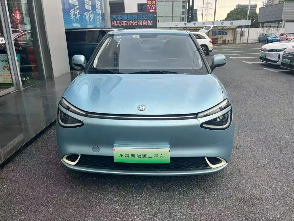 Dongfeng Yipai Nano 01 2024 2024 330 Air