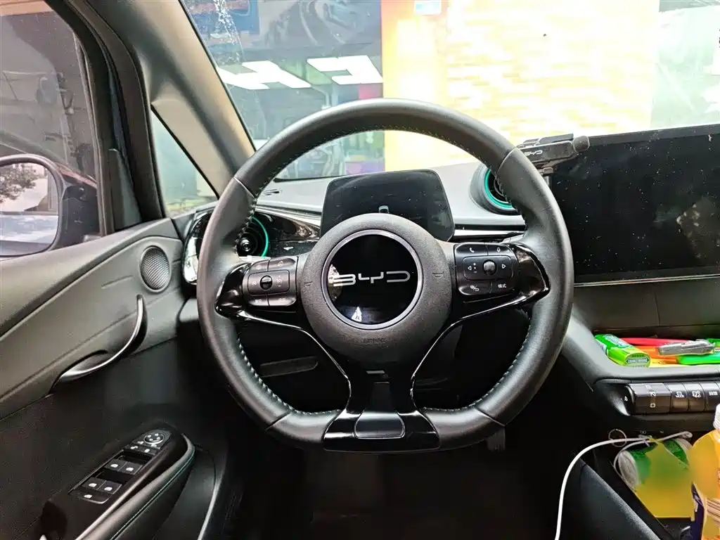 BYD Dolphin 2024 Glory Edition 420km Freedom Edition фото 3