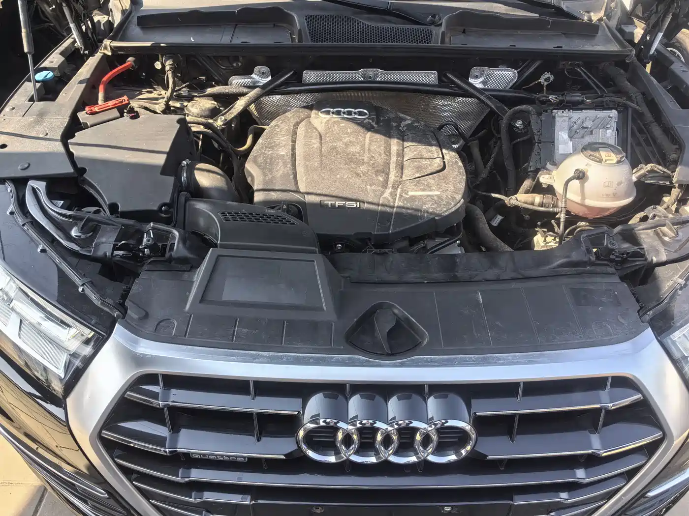 Audi Q5L 2018 45 TFSI Exclusive Elegance (China V) фото 19