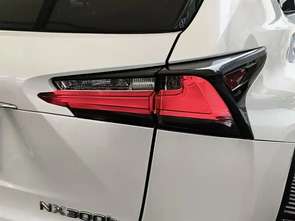 Lexus NX 2015 300h FWD Luxury фото 24