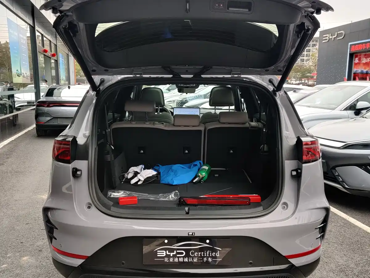BYD Tang New Energy 2025 Smart Driving Edition DM-i 115KM Flagship фото 11